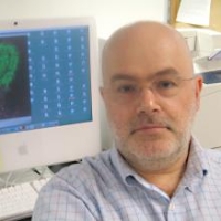 Profile photo of Alexander Chervonsky, expert at University of Chicago