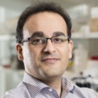 Profile photo of Alireza Abbaspourrad, expert at Cornell University