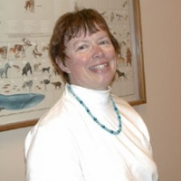 Profile photo of Anne Skinner, expert at Williams College