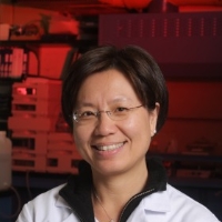 Profile photo of Annie Wong-Beringer, expert at University of Southern California