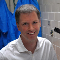 Profile photo of Anthony J. Mutsaers, expert at University of Guelph