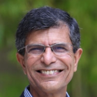 Profile photo of Asoo J. Vakharia, expert at University of Florida