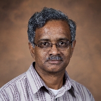 Profile photo of Bala Rathinasabapathi, expert at University of Florida