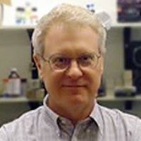 Profile photo of Brian Leber, expert at McMaster University