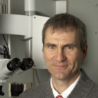 Profile photo of Brian Westerberg, expert at University of British Columbia