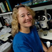 Profile photo of Carol Greider, expert at Johns Hopkins University