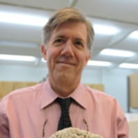 Profile photo of Claude Messier, expert at University of Ottawa