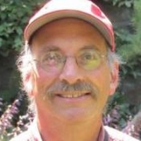 Profile photo of David Glassberg, expert at University of Massachusetts Amherst