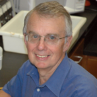 Profile photo of David M. Kelso, expert at Northwestern University