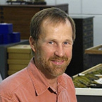 Profile photo of David Steadman, expert at University of Florida