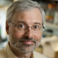 Profile photo of David J. Waxman, expert at Boston University