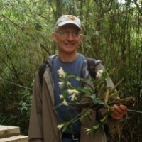 Profile photo of Doug Soltis, expert at University of Florida