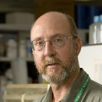 Profile photo of Edward Walker, expert at Michigan State University