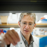 Profile photo of Fabio Rossi, expert at University of British Columbia