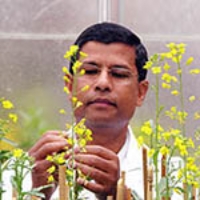 Profile photo of Habibur Rahman, expert at University of Alberta