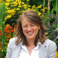 Profile photo of Helen Margetts, expert at University of Oxford