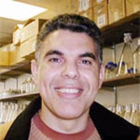 Profile photo of Imed Eddine Gallouzi, expert at McGill University
