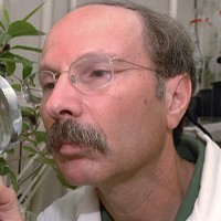 Profile photo of James P. Cuda, expert at University of Florida