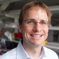 Profile photo of Jan Lammerding, expert at Cornell University