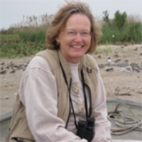 Profile photo of Jane H. Brockmann, expert at University of Florida