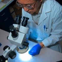 Profile photo of Jijing Pang, expert at University of Florida