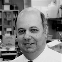 Profile photo of Joel Weiner, expert at University of Alberta