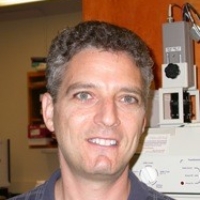 Profile photo of Joseph Bass, expert at Northwestern University