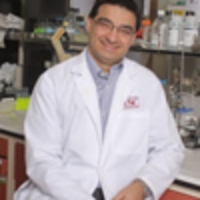 Profile photo of Julio Camarero, expert at University of Southern California