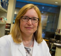 Profile photo of Karen Anderson, expert at Arizona State University