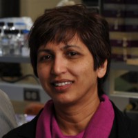 Profile photo of Kasturi Haldar, expert at University of Notre Dame