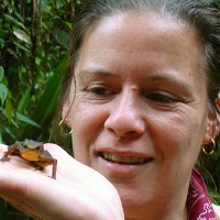 Profile photo of Kelly Zamudio, expert at Cornell University