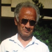 Profile photo of Lahoucine Ouzgane, expert at University of Alberta