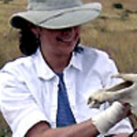 Profile photo of Laurie J. Bonneau, expert at Trinity College