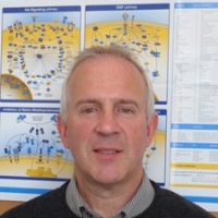 Profile photo of Len Seymour, expert at University of Oxford