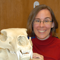 Profile photo of Lisa Hodgetts, expert at Western University