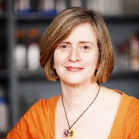 Profile photo of Lois M. Mulligan, expert at Queen’s University