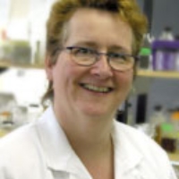 Profile photo of Lynn McMullen, expert at University of Alberta