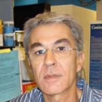 Profile photo of Manel Jordana, expert at McMaster University