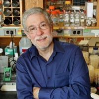 Profile photo of Mark D. Rose, expert at Princeton University