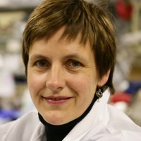 Profile photo of Mary McDowell, expert at University of Notre Dame