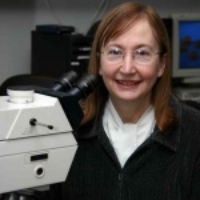 Profile photo of Maureen Hanson, expert at Cornell University