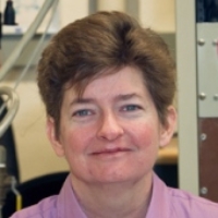 Profile photo of Melissa A Hines, expert at Cornell University