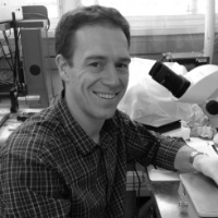 Profile photo of Michael D. Niemack, expert at Cornell University