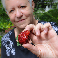 Profile photo of Mickie Swisher, expert at University of Florida