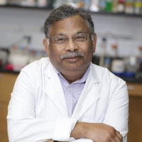 Profile photo of Mohan Raizada, expert at University of Florida