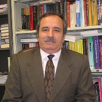 Profile photo of Muhammad Sahimi, expert at University of Southern California