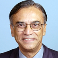 Profile photo of Narsing A. Rao, expert at University of Southern California