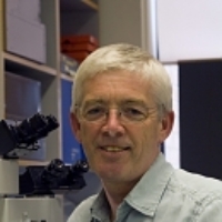 Profile photo of Paul Bolam, expert at University of Oxford