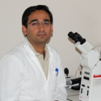 Profile photo of Pavneesh Madan, expert at University of Guelph