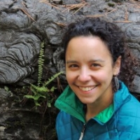 Profile photo of Phoebe Cohen, expert at Williams College
